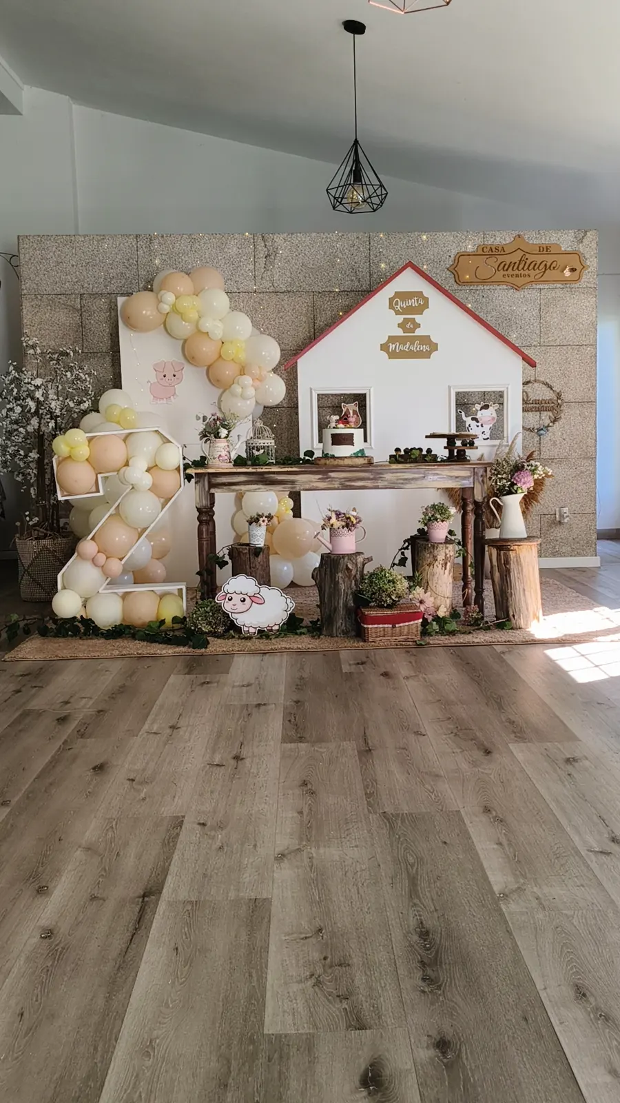Decoração de aniversário (2)